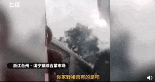 进入武汉，中国记者冒死记录最真实珍贵画面！（视频/组图） - 2