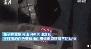 进入武汉，中国记者冒死记录最真实珍贵画面！（视频/组图） - 1