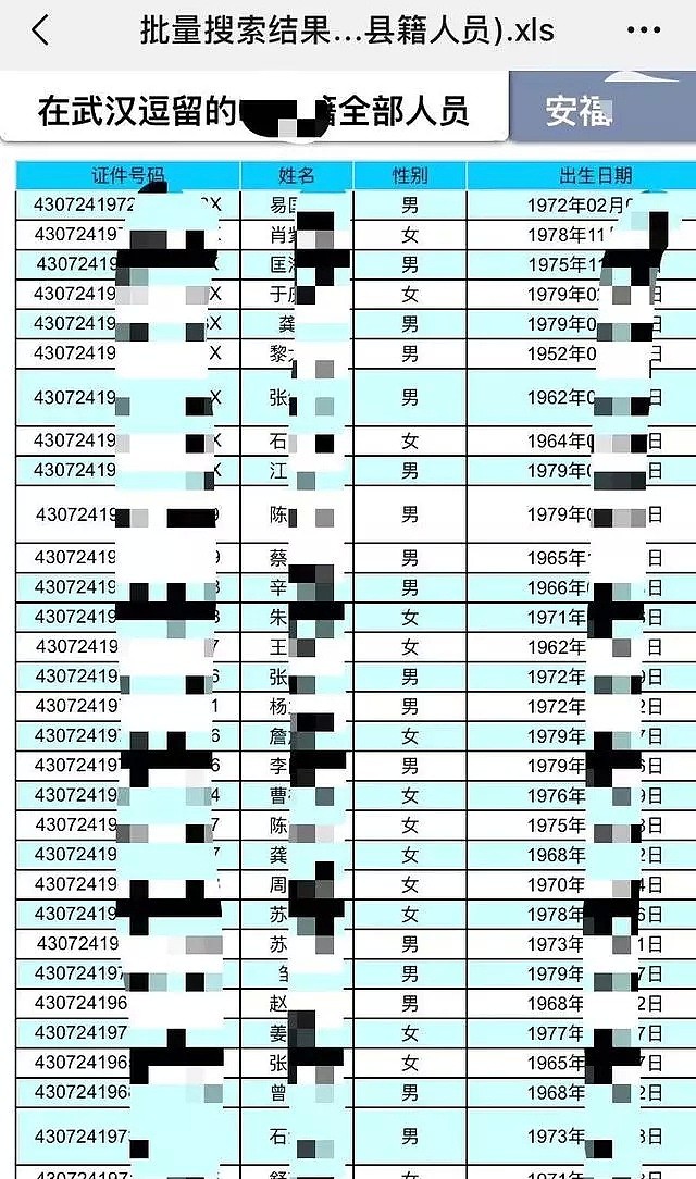 超7000武汉返乡者信息泄露，被骚扰骂“武汉毒人”（组图） - 5