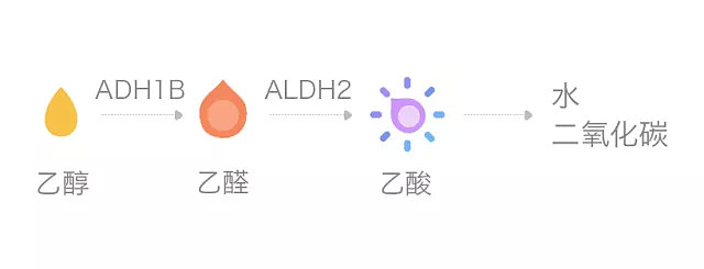 有些人就算春节不出门不聚会，也要想方设法喝上几杯1类致癌物...（组图） - 3