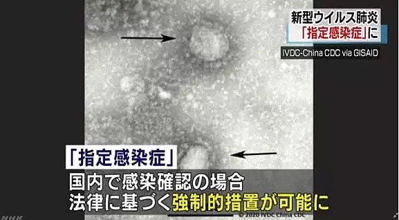 东京也危险了！第7例！没去过武汉的日本巴士司机，被中国游客给传染了...（组图） - 14