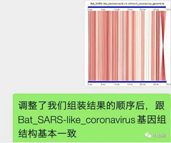 12月26日首次发现新冠病毒经历 失望痛心还有愤怒（组图） - 17