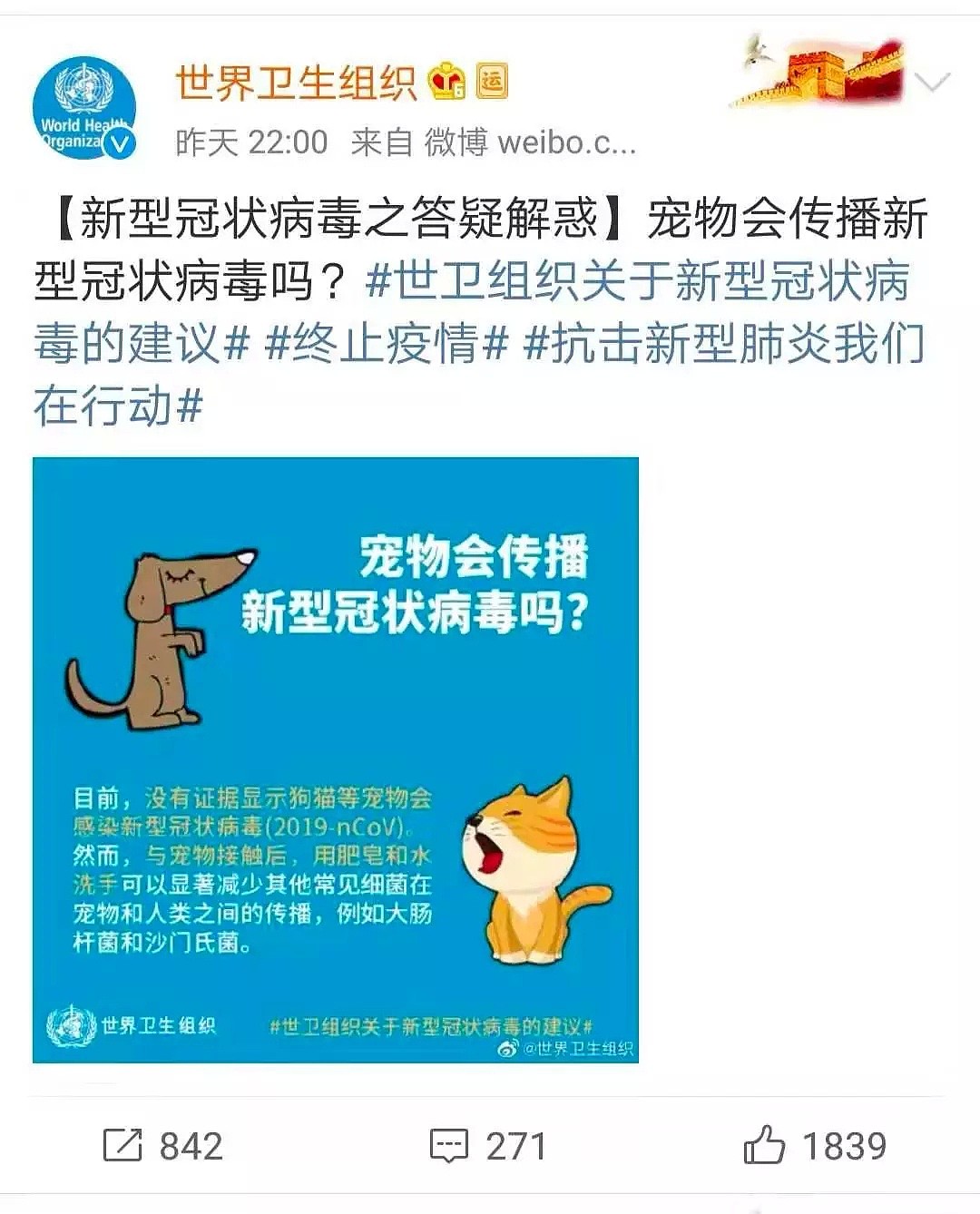 澳洲现在还安全吗？悉尼妈妈们如何保护自己和孩子？请停止恐慌，冷静对待吧~~ - 11