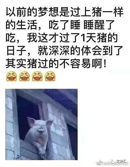 【爆笑】因为我爸妈不戴口罩，女朋友把我拉黑了？网友：哈哈哈这操作过于硬核！（组图） - 7