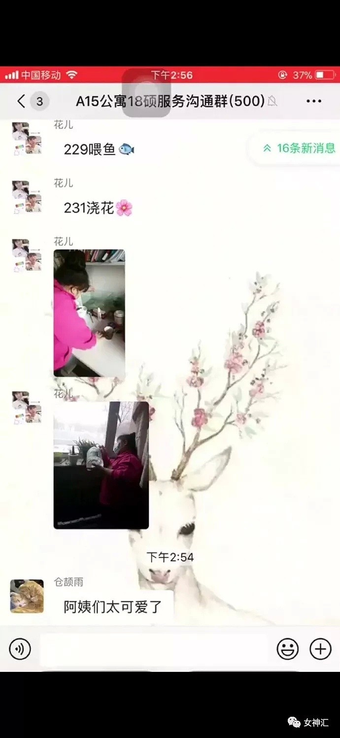 【爆笑】因为我爸妈不戴口罩，女朋友把我拉黑了？网友：哈哈哈这操作过于硬核！（组图） - 16