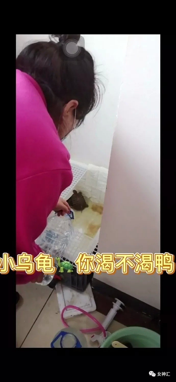 【爆笑】因为我爸妈不戴口罩，女朋友把我拉黑了？网友：哈哈哈这操作过于硬核！（组图） - 18