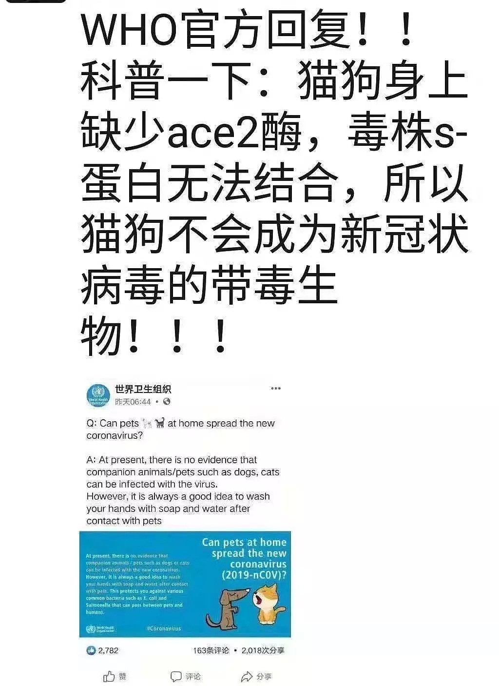 【宠物】“李兰娟院士说宠物会感染新型肺炎！”这只狗被活活摔死... - 9