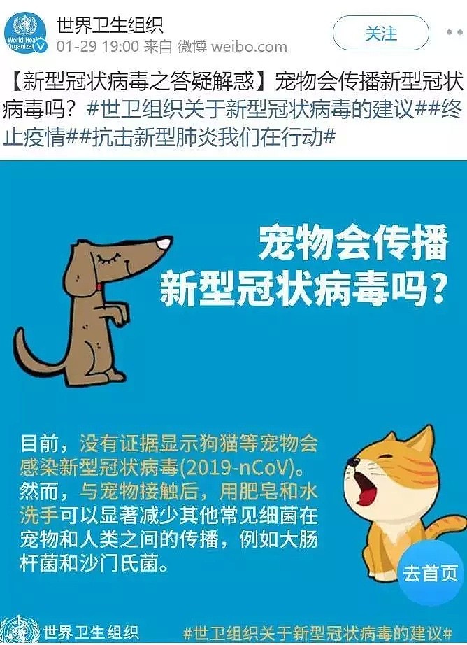 【宠物】“李兰娟院士说宠物会感染新型肺炎！”这只狗被活活摔死... - 10