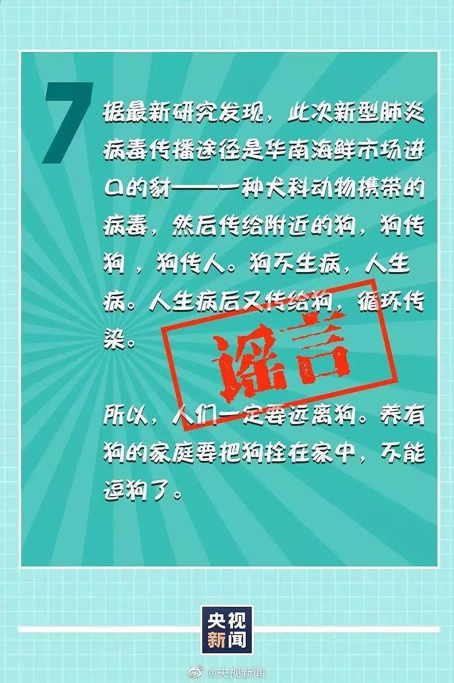 【宠物】“李兰娟院士说宠物会感染新型肺炎！”这只狗被活活摔死... - 11