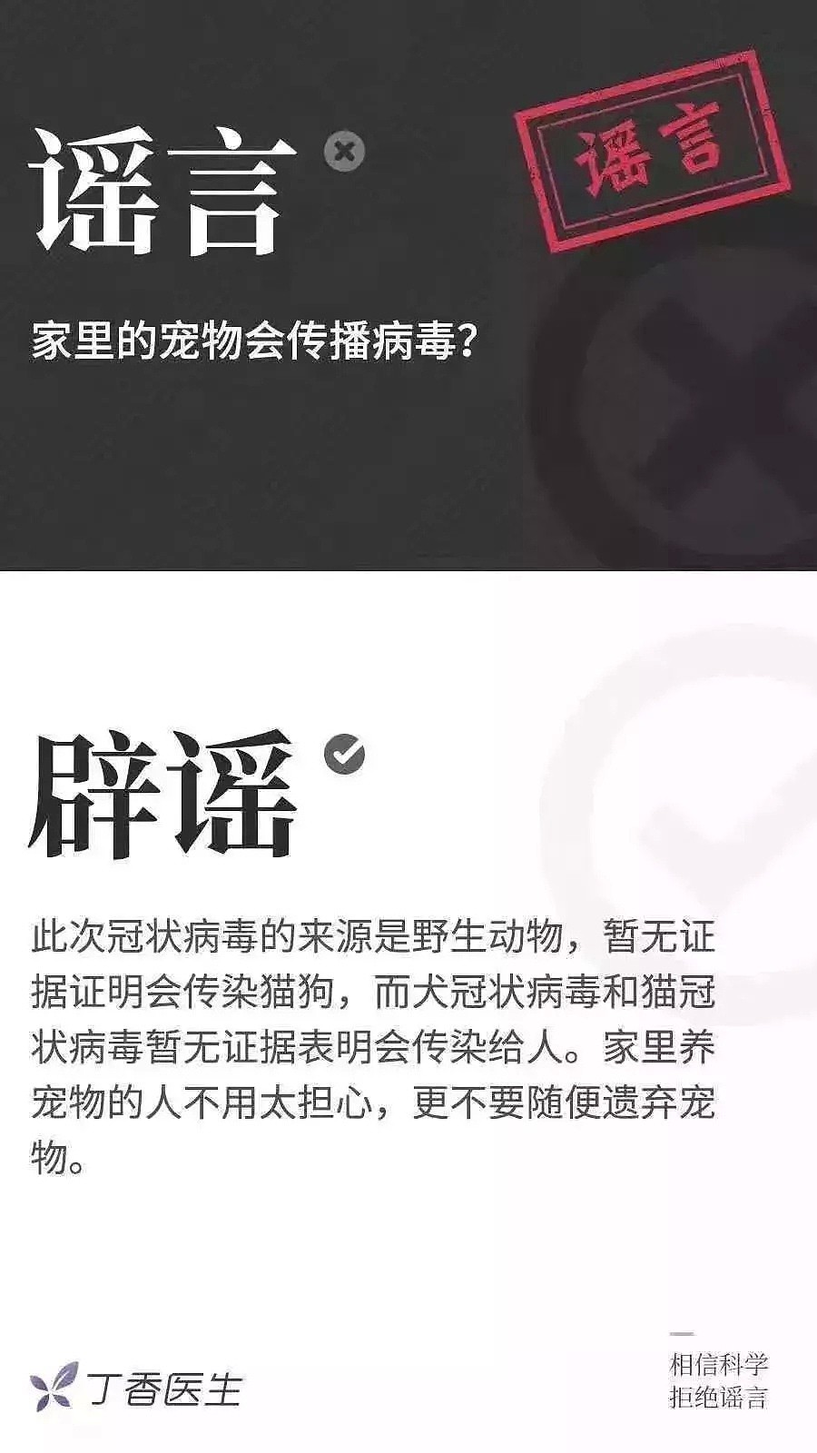 【宠物】“李兰娟院士说宠物会感染新型肺炎！”这只狗被活活摔死... - 13