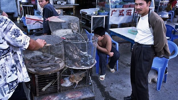 云南西双版纳勐腊县一个野生动物市场上出售的蛇、珍禽、穿山甲和猴子