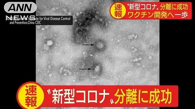 喜报！日本成功分离新型冠状病毒，天空树点亮中国红为武汉祈福！（组图） - 1