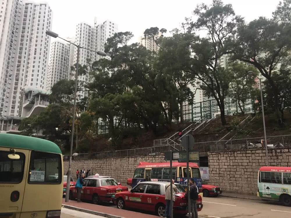 我去了趟香港 看了套16平米的公租房 50平米就是豪宅 （组图） - 3