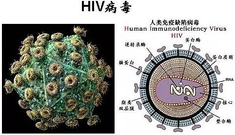 你让我上餐桌， 我请你下地狱！“战胜非典”背后的真相很残酷...（组图） - 2