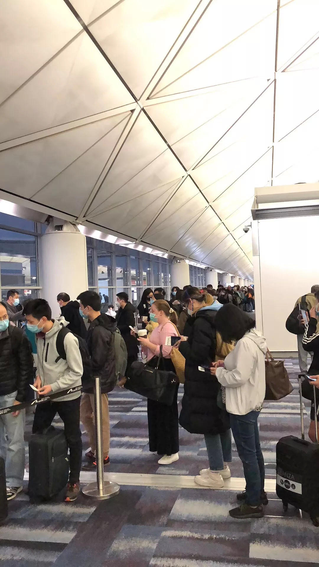 实惨！澳洲禁止入境后的第一天：机场混乱、学生滞留、请愿不断（组图） - 9