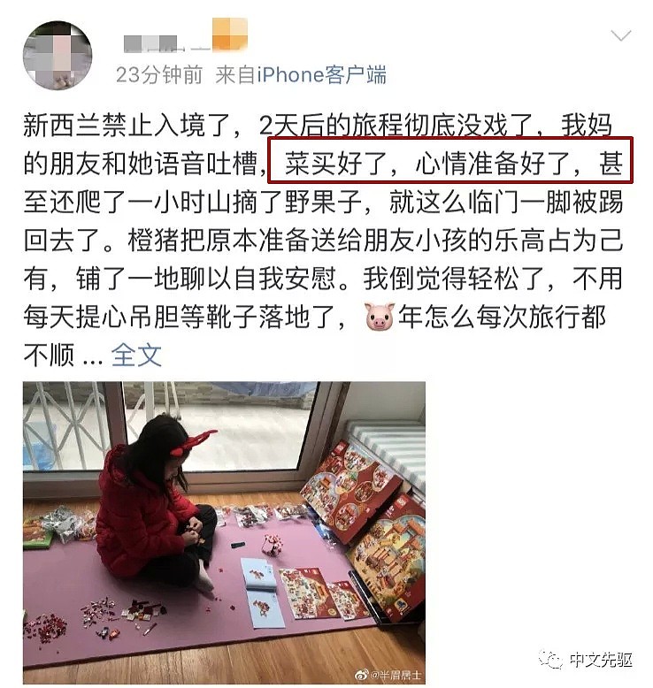 炸了！新西兰禁中国来客入境，航班取消，游客懵逼，留学生惨叫，更糟糕的还在后面…（组图） - 12