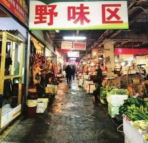 吃蝙蝠惹的祸：中国还有多少“华南海鲜批发市场”在卖野味？（组图） - 3