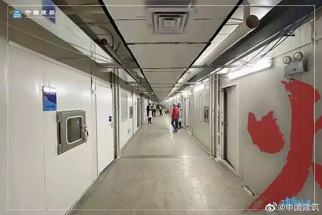 刚刚,新西兰移民局确认了,这些人绝对不能入境!(视频/组图) - 23