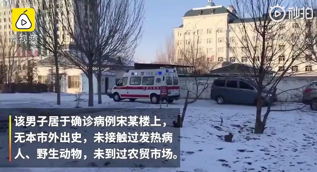 刚刚,新西兰移民局确认了,这些人绝对不能入境!(视频/组图) - 28
