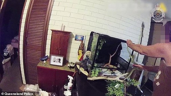 “我觉得自己像个白痴” 澳洲女子“友好”的宠物蟒蛇缠住她的手不放，被迫报警（视频/组图） - 2