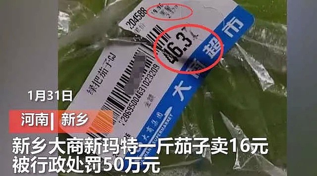 菜价最高涨700%!黄瓜88元/斤 大批超市被重罚（组图） - 3