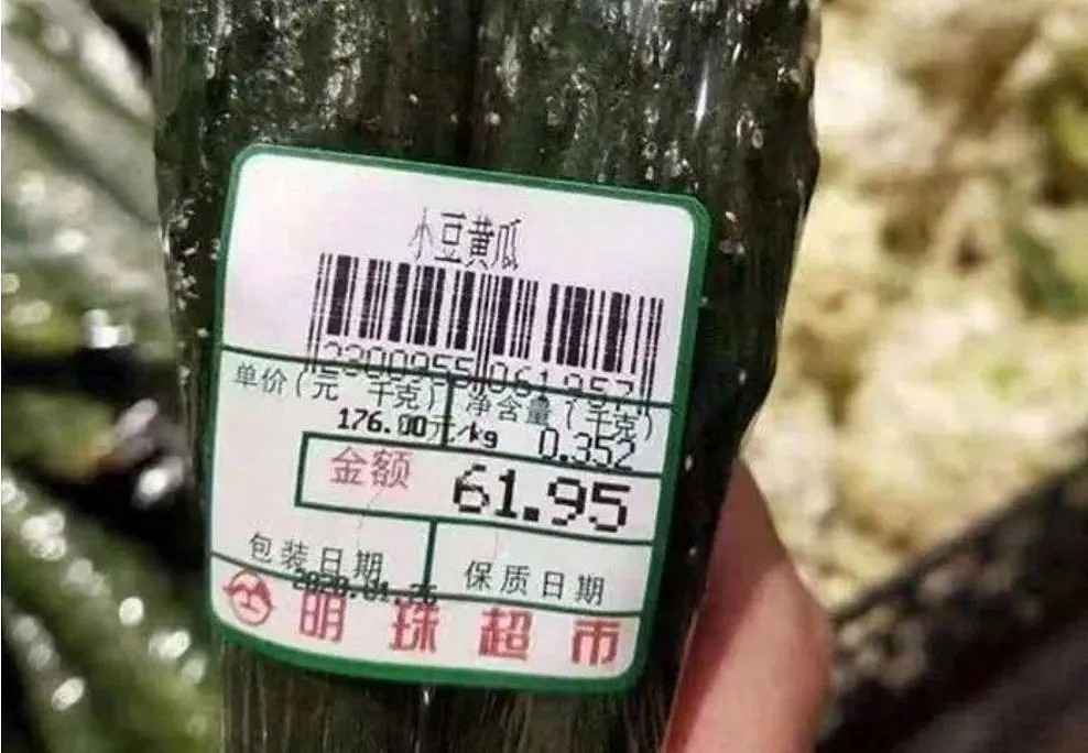 菜价最高涨700%!黄瓜88元/斤 大批超市被重罚（组图） - 5