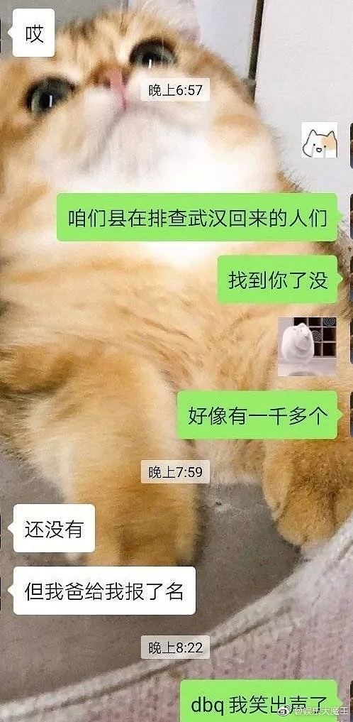 【爆笑】疫情期间人际交往有多难？？口罩都给我笑掉了哈哈哈哈哈哈哈哈哈哈（组图） - 10