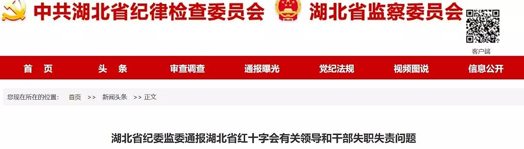 湖北省红十字会3名领导被问责，副会长被免！违规发放口罩，武汉市统计局副局长被免（组图） - 1