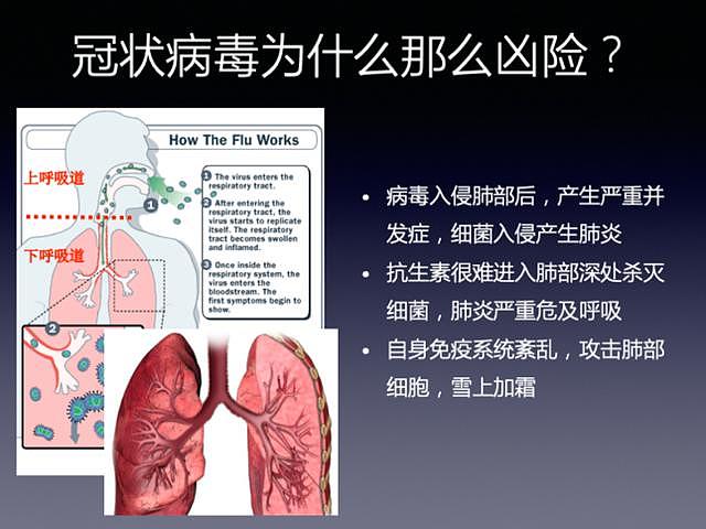 病毒在生物体内都干了什么？这些斗争细节你必须知道（组图） - 9