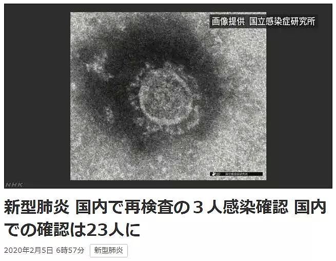 已33例！日本宣布隔离这3700人！查出船上31人中就有10人确诊…（组图） - 2