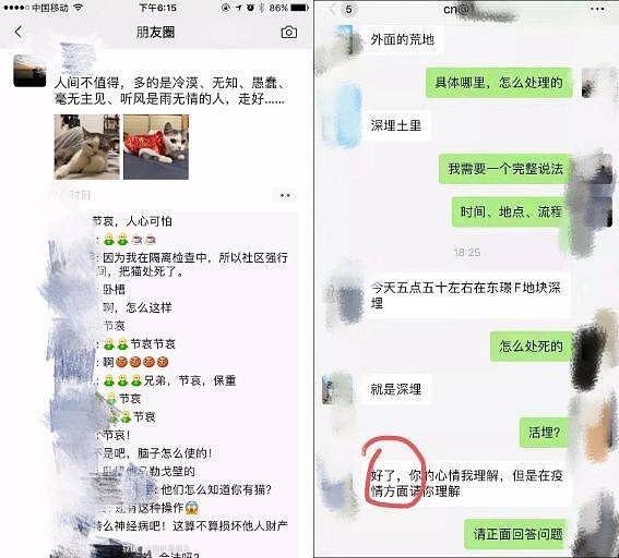 疫情阴影下，无人关心的二次伤害（组图） - 2