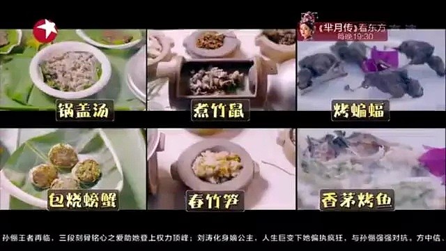 众多明星为了节目“收视率”狂吃蝙蝠，如今因疫情被骂到退圈，他们到底冤不冤？（组图） - 23