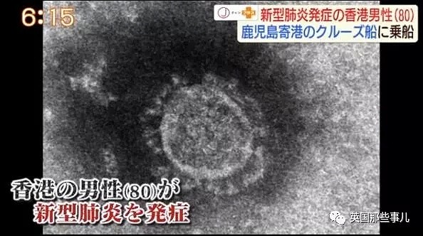 日本豪华游轮爆新冠疫情 整船隔离 只能飘海上（组图） - 5