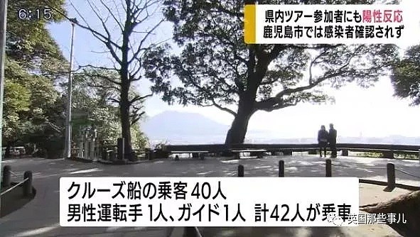 日本豪华游轮爆新冠疫情 整船隔离 只能飘海上（组图） - 10