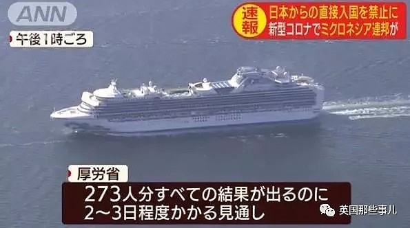 日本豪华游轮爆新冠疫情 整船隔离 只能飘海上（组图） - 19