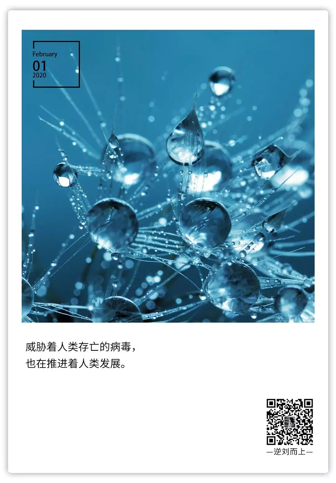 上海传染病权威专家张文宏预测：关于疫情的最坏结局，你需要知道！（组图） - 10