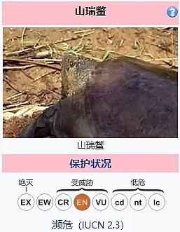 没有哪个“野味”能逃过“壮阳”的诅咒（组图） - 17