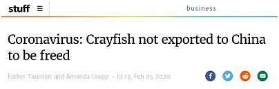 上百吨活龙虾出口中国受阻 新西兰选择放回海里（图） - 1