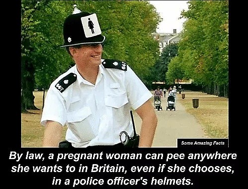 别笑！把警察的头盔当马桶，是英国孕妇的特权（组图） - 1