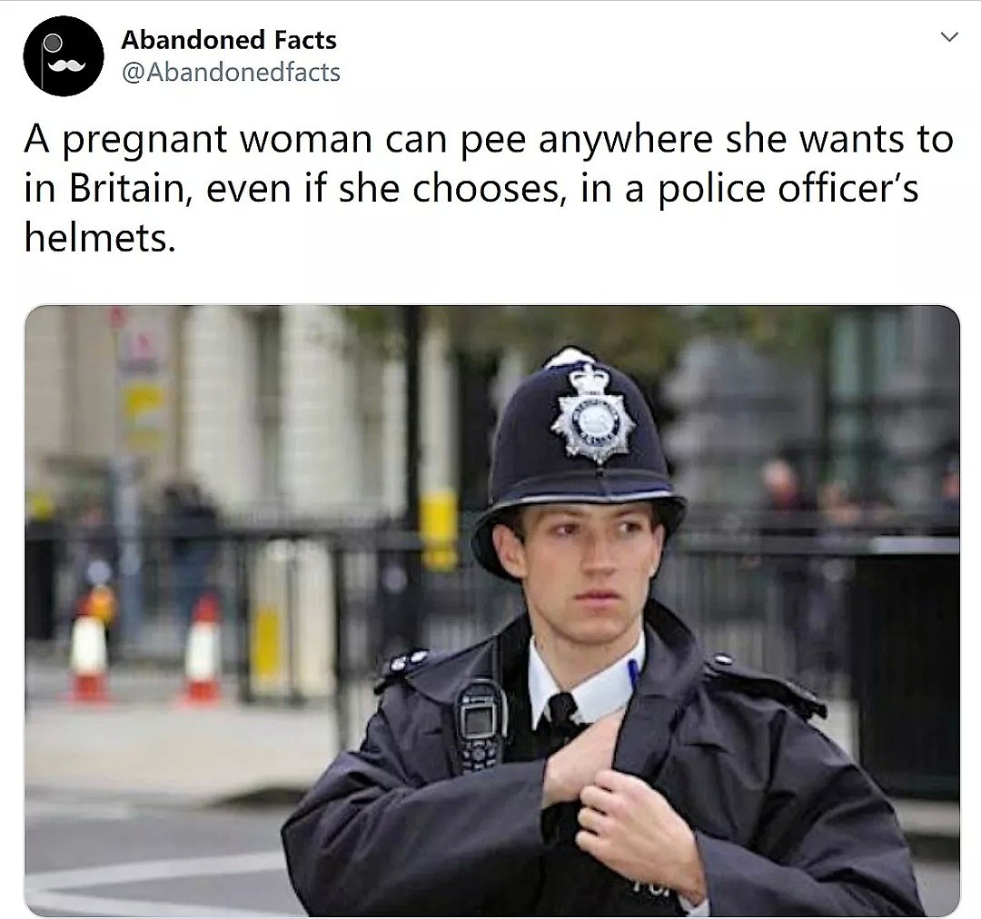 别笑！把警察的头盔当马桶，是英国孕妇的特权（组图） - 3