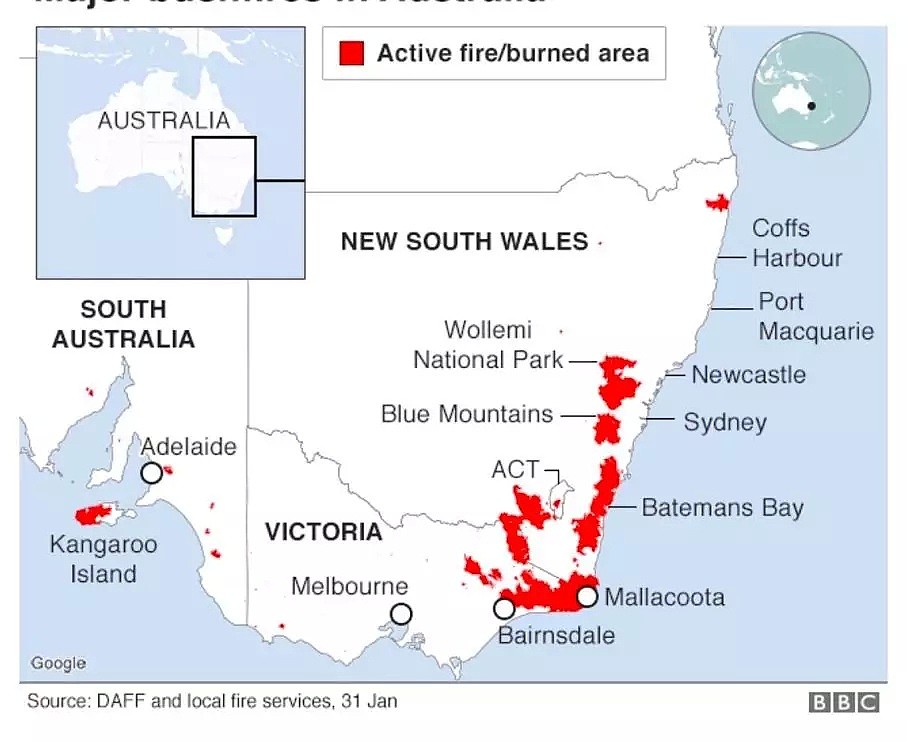 65万只蝙蝠入侵城市！澳洲大火还没灭又要遭受一场生态灾难（组图） - 12