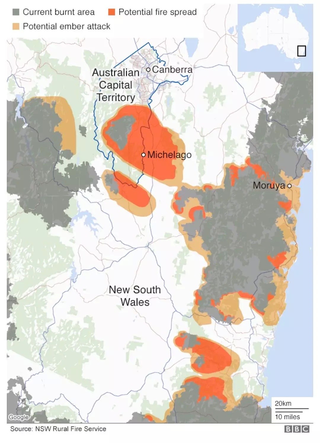65万只蝙蝠入侵城市！澳洲大火还没灭又要遭受一场生态灾难（组图） - 21