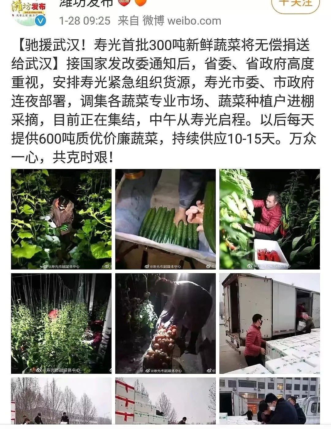 疫情下的人间百态：有人舍身忘死，有人谋财害命…（组图） - 24