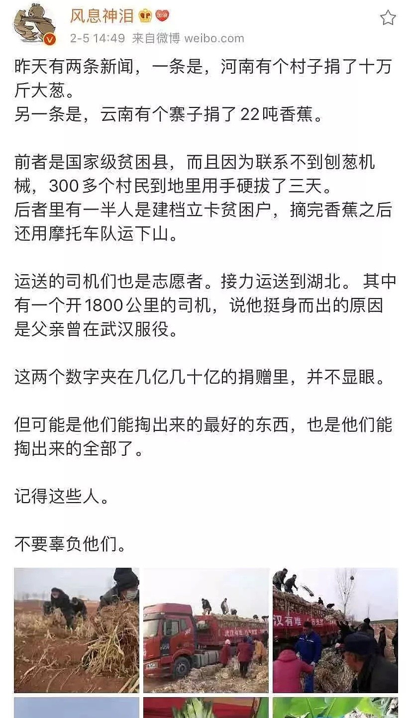 疫情下的人间百态：有人舍身忘死，有人谋财害命…（组图） - 32