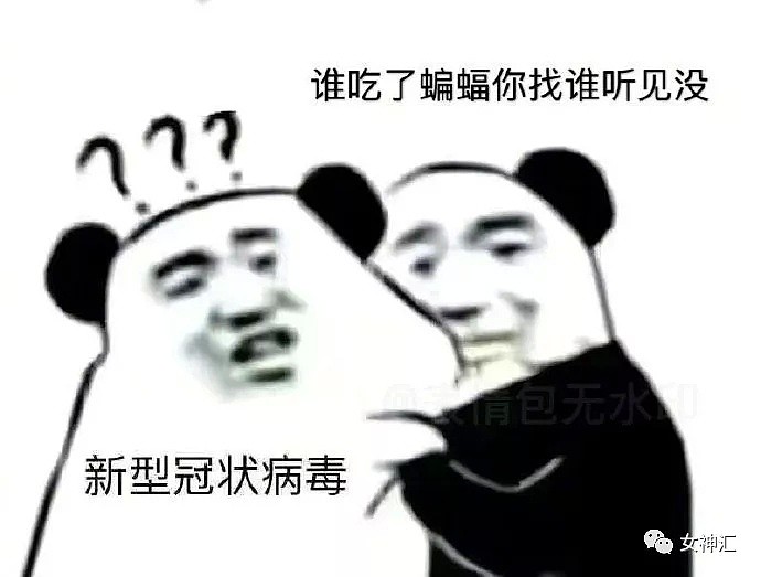 【爆笑】疫情结束后的别人 VS 疫情结束后的我！网友：哈哈哈哈有被冒犯到！（组图） - 11