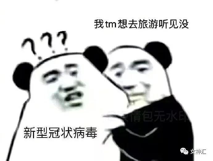 【爆笑】疫情结束后的别人 VS 疫情结束后的我！网友：哈哈哈哈有被冒犯到！（组图） - 17