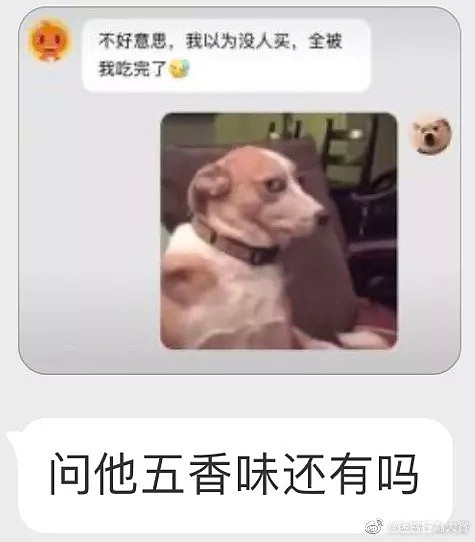 【爆笑】疫情结束后的别人 VS 疫情结束后的我！网友：哈哈哈哈有被冒犯到！（组图） - 24