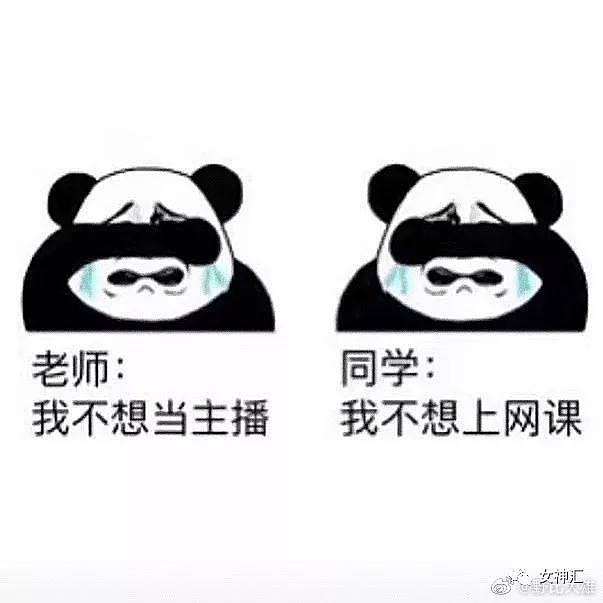 【爆笑】疫情结束后的别人 VS 疫情结束后的我！网友：哈哈哈哈有被冒犯到！（组图） - 27