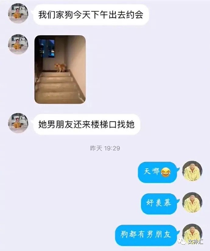 【爆笑】疫情结束后的别人 VS 疫情结束后的我！网友：哈哈哈哈有被冒犯到！（组图） - 37