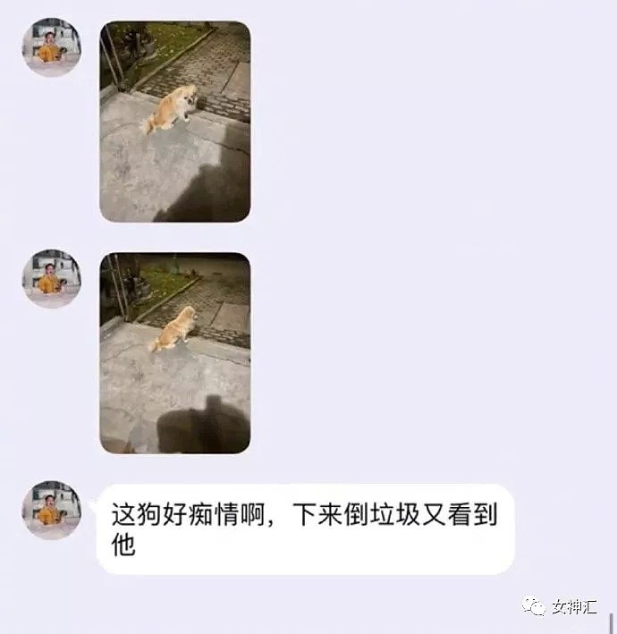 【爆笑】疫情结束后的别人 VS 疫情结束后的我！网友：哈哈哈哈有被冒犯到！（组图） - 39